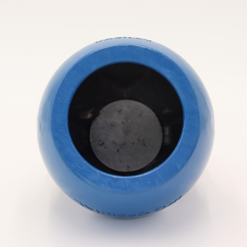 Load image into Gallery viewer, Pro Kettlebell Apollo: The International Line
